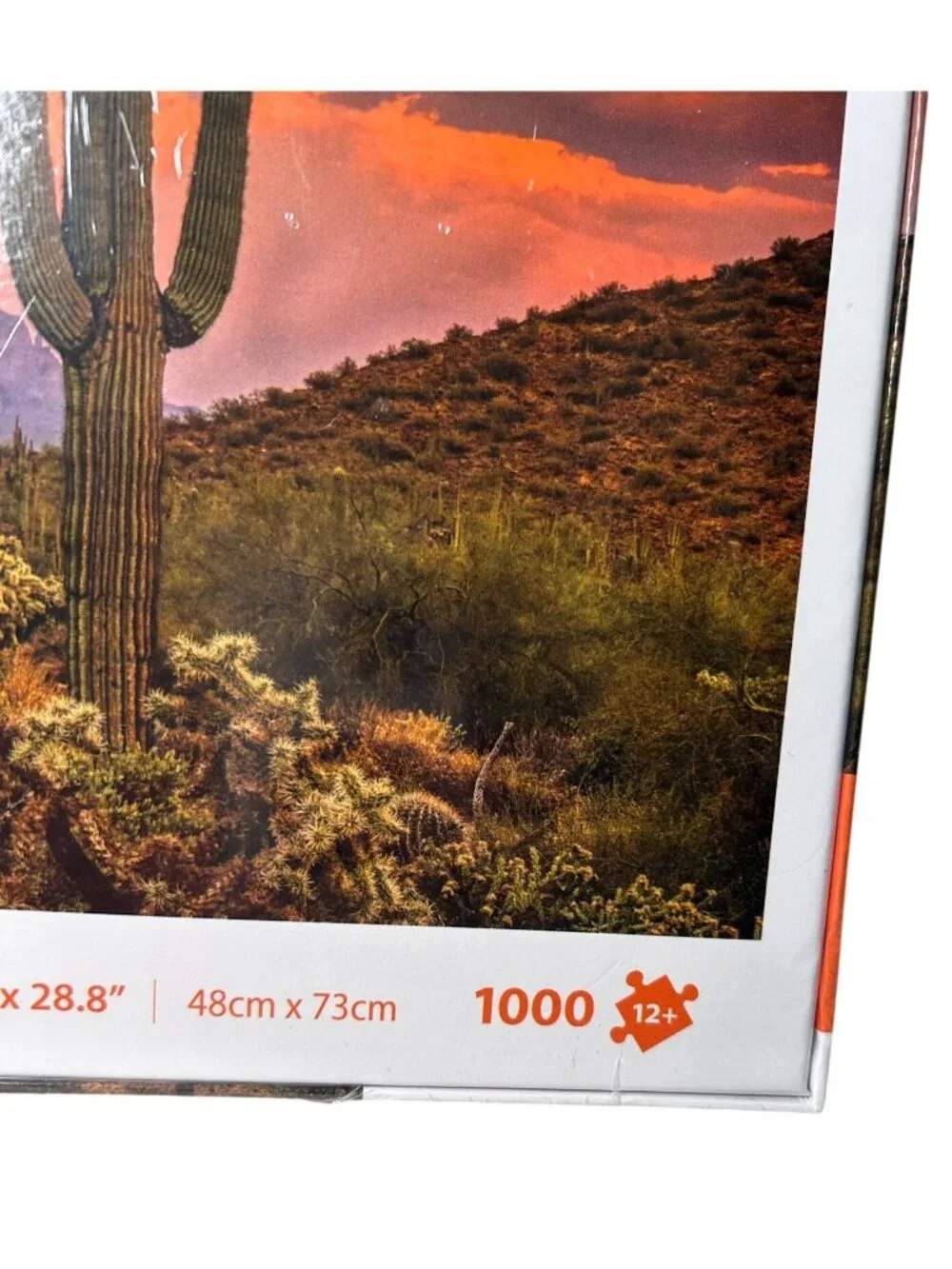 NEW Seesaw Sunset Cactus 1000-Piece Puzzle 18.9